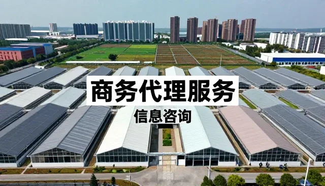 商务代理服务的日常使用与维护建议